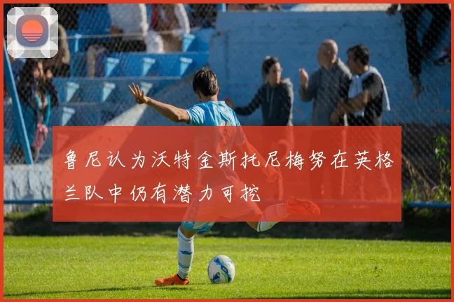 鲁尼认为沃特金斯托尼梅努在英格兰队中仍有潜力可挖